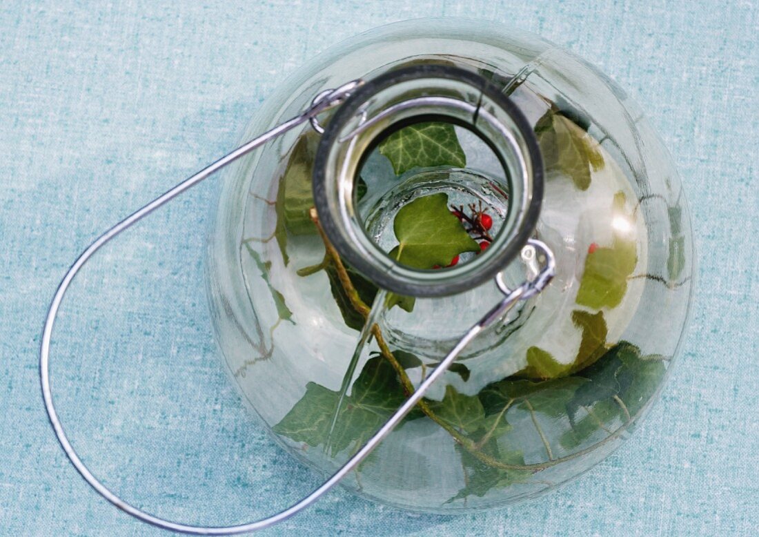Efeuzweig mit Blättern im Glasbehälter