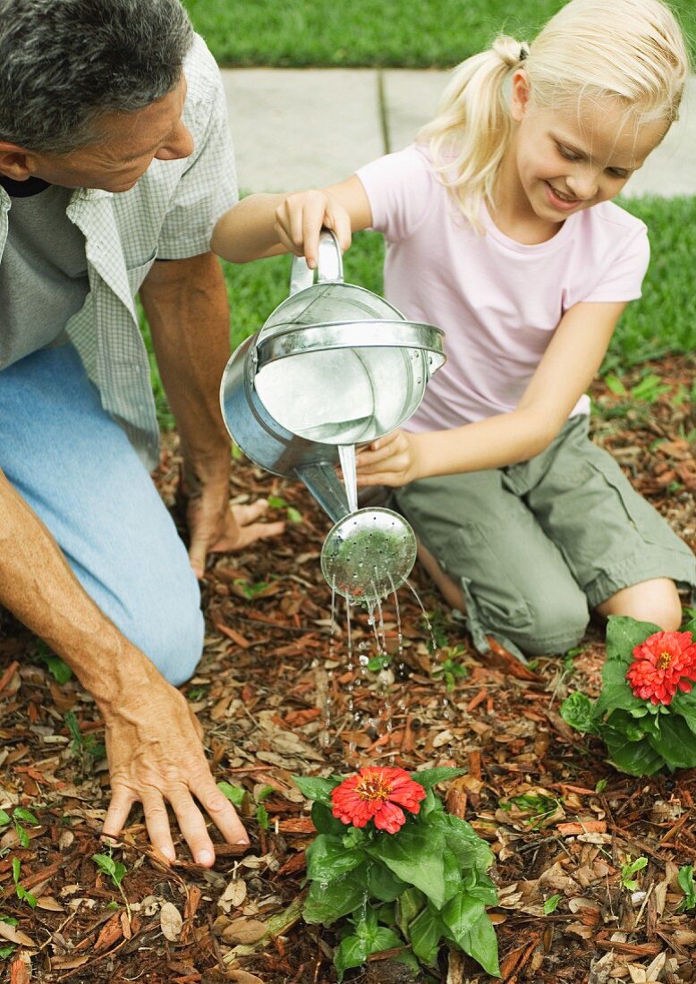 Vater und Tochter gießen Blumen im Garten