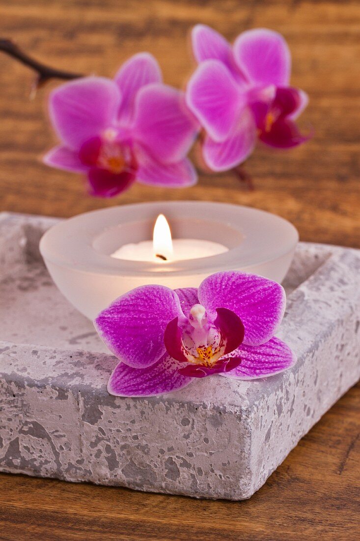 Eckige Steinschale mit brennendem Teelicht und Orchideenblüten