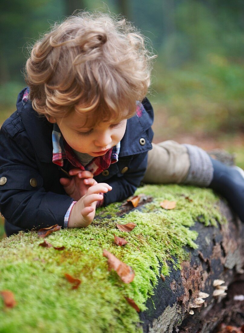 Child on mossy tree trunk