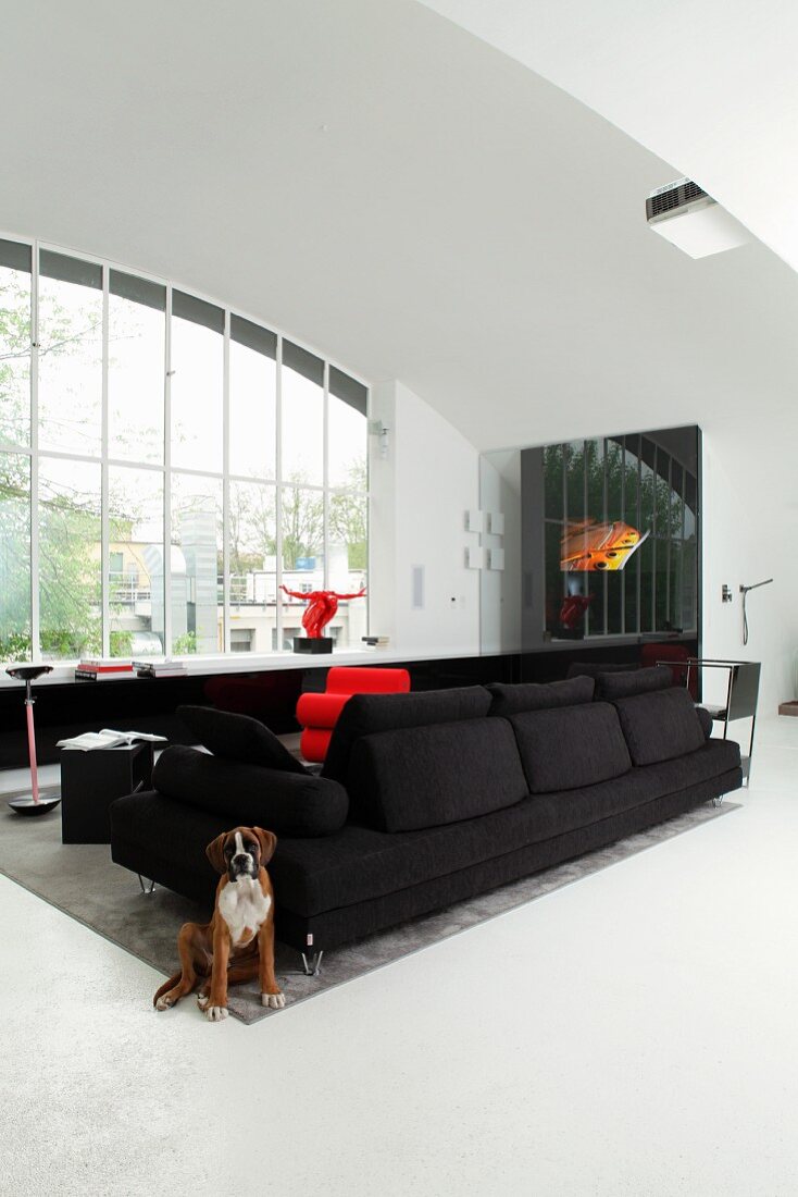 Hund sitzt neben schwarzem Sofa in minimalistischem Wohnraum mit Fensterfront