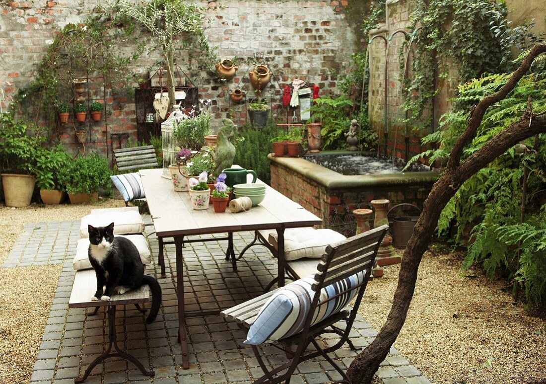 A courtyard decorated with plants