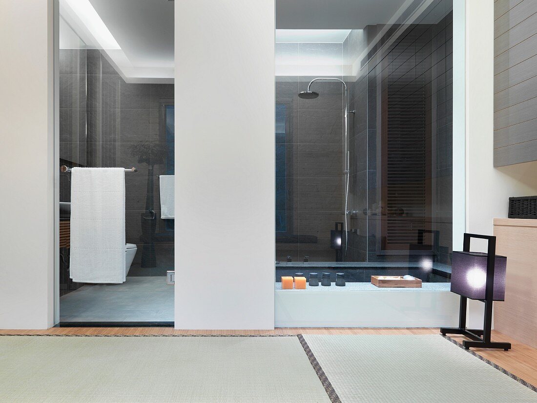 Glass door and wall to modern bathroom