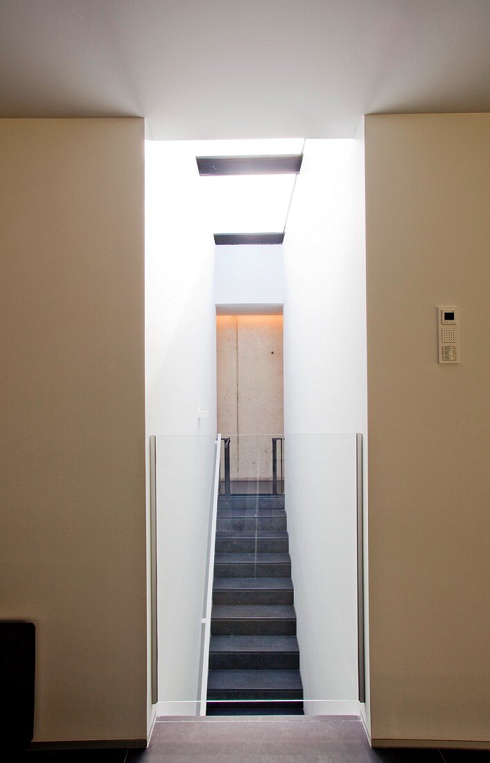 View from foyer into narrow stairwell through floor-to-ceiling opening