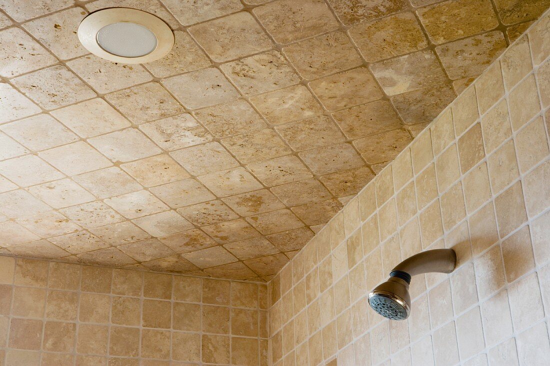 Ausschnitt einer gefliesten Dusche mit Kopfbrause an Wand