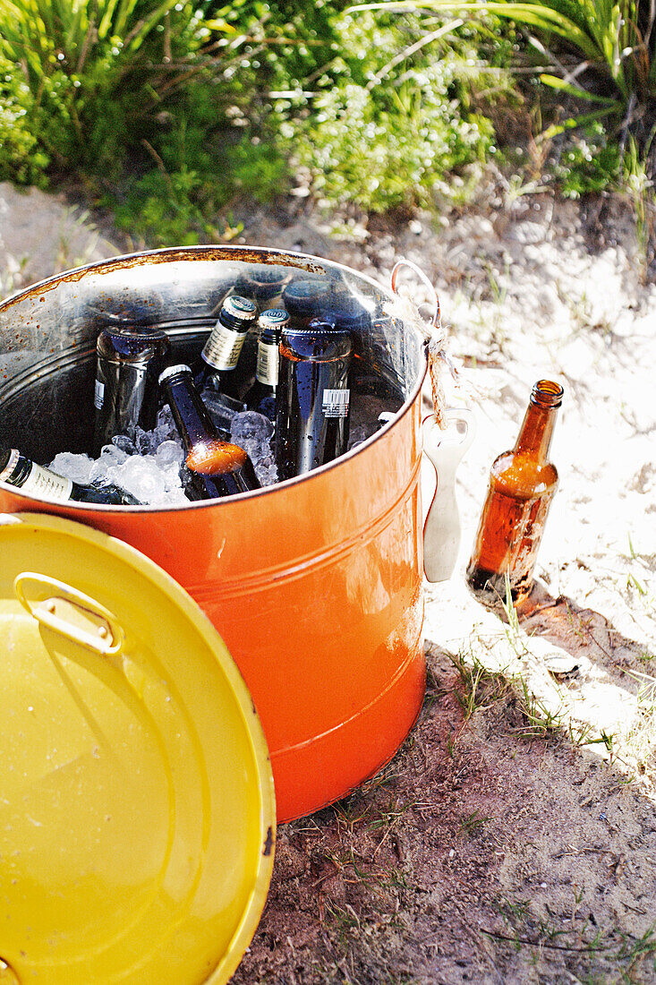 Bottles of beer in an ice bucket