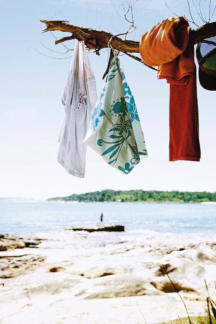 Items of clothing hanging on a branch by the sea