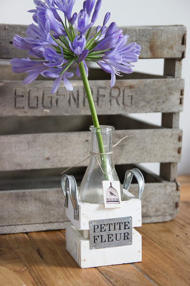 Purple agapanthus in glass vase with hand-made gift tag in tiny wooden crate