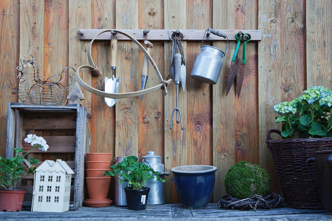 Verschiedene Gartenutensilien, Vintage-Milchkannen und Pflanzen an Bretterwand