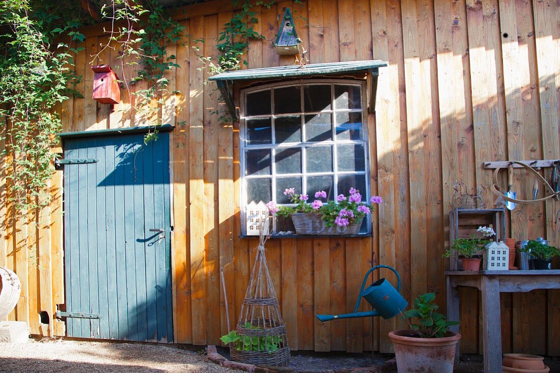 Idyllische Holzschuppenfassade mit taubenblauer Holztür und Sprossenfenster mit blühenden Geranien