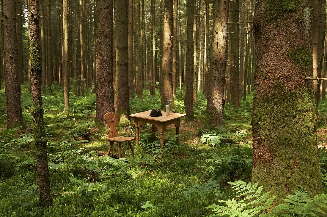 Schlichter Sitzplatz, bäuerlicher Tisch und Stuhl aus Holz auf Lichtung im Wald