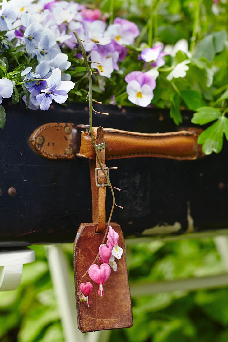 Alter Koffer mit Kofferanhänger bepflanzt mit Frühlingsblumen