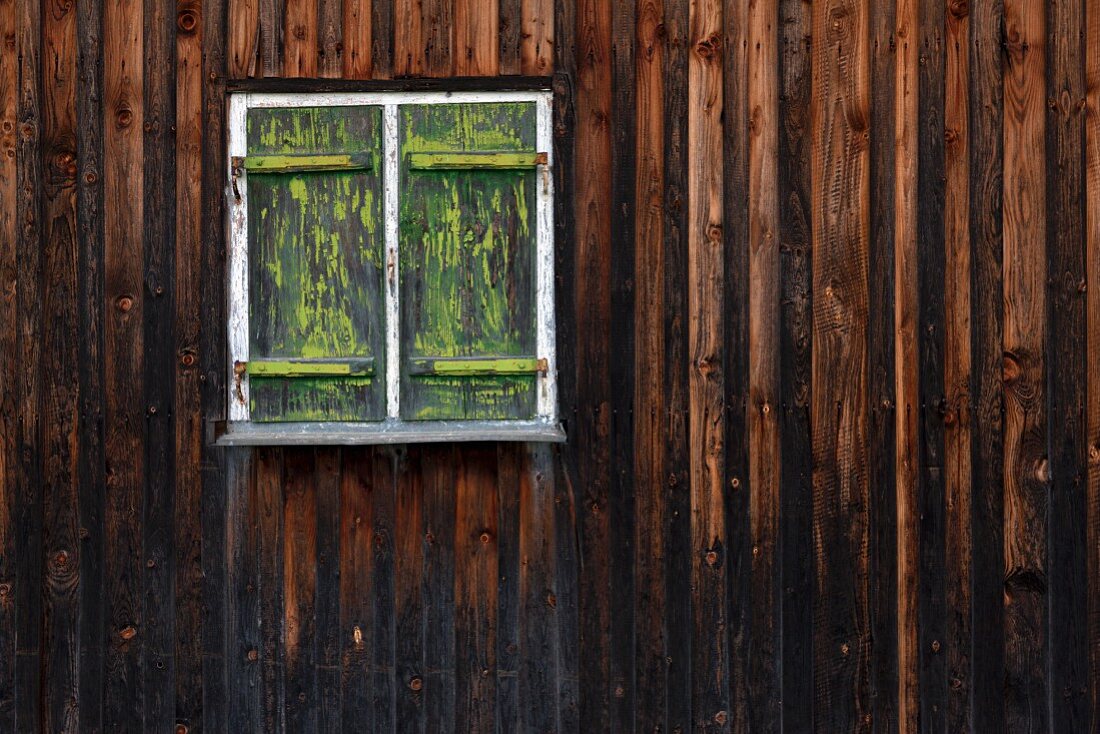 Rustic wooden wall with closed green vintage shutters on window