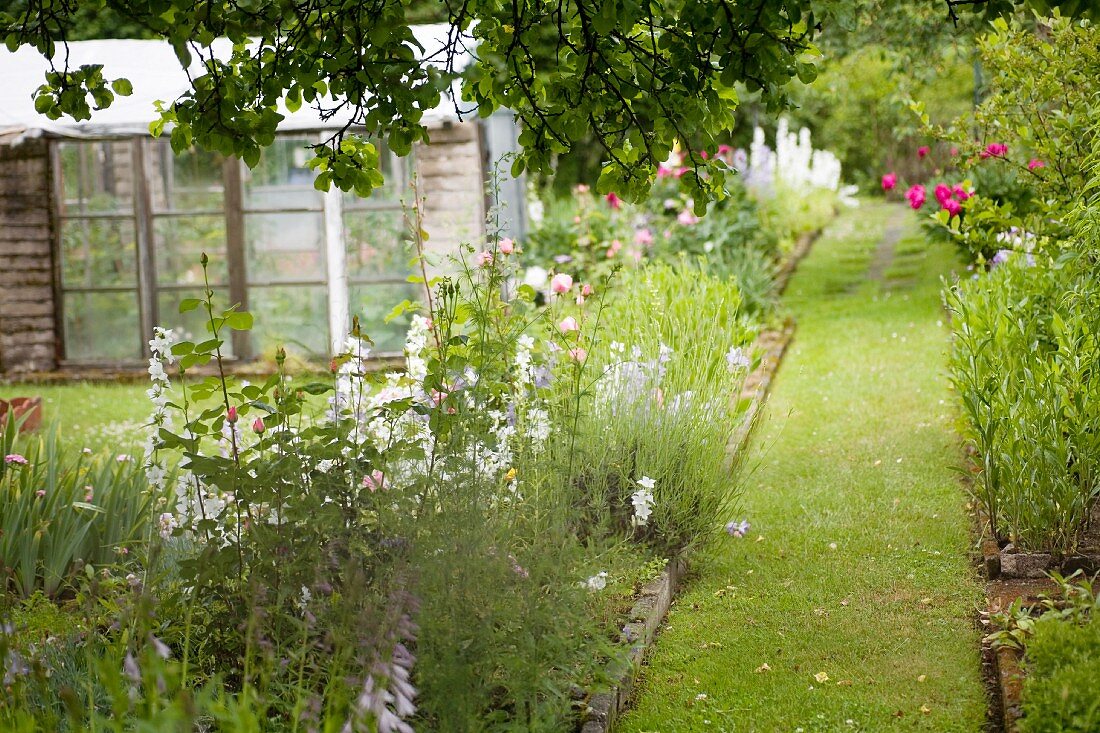 Idyllic flowering garden with greenhouse and lawn path