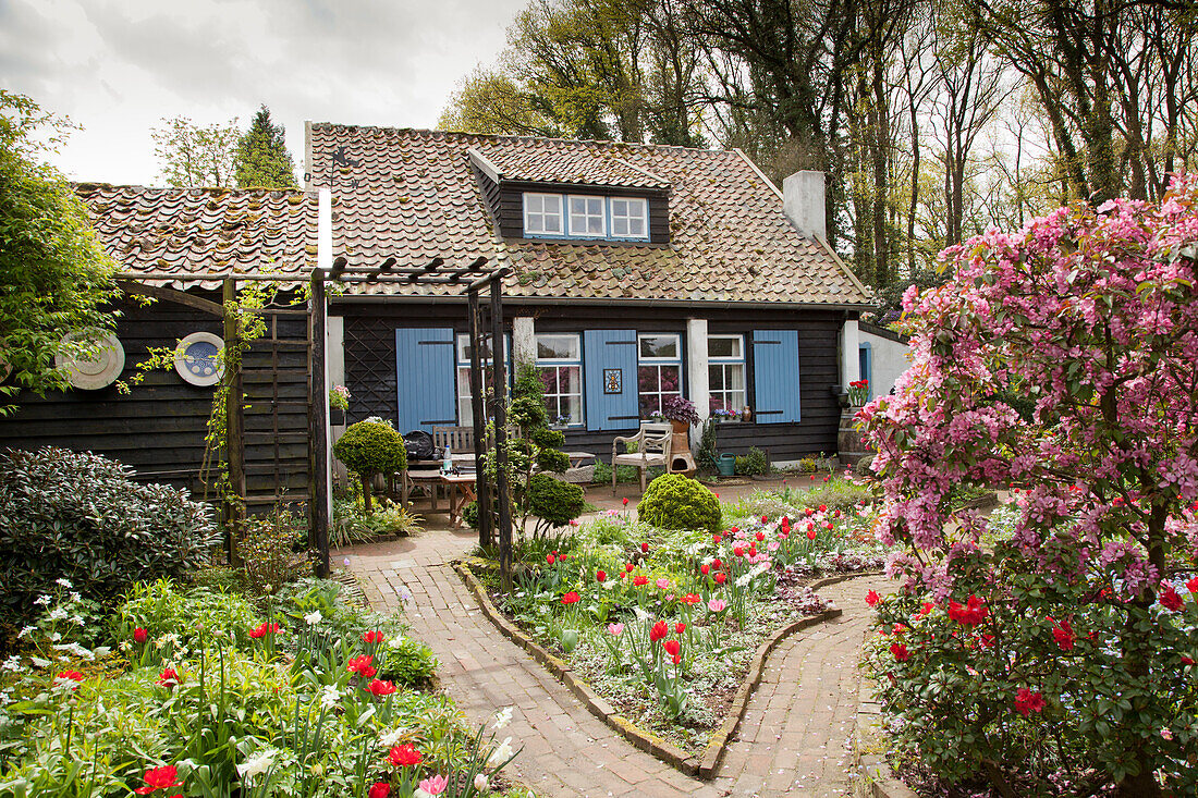 Wooden house with blue shutters and terrace amongst flowering beds in garden