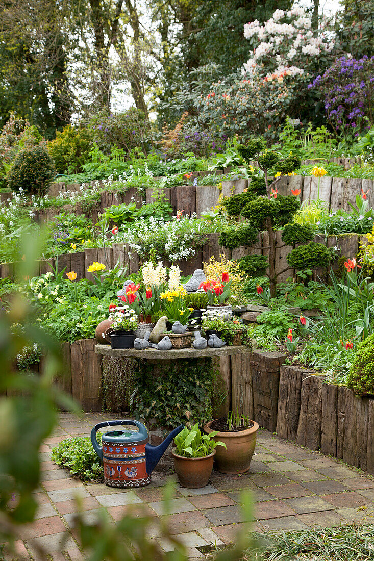 Potted plants on rustic table and flowering plants in terraced beds in garden