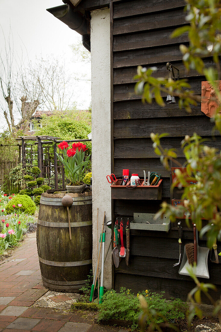 Vor Hausecke Blumentopf auf Regentonne, seitlich an Holzhaus aufgehängte Gartenwerkzeuge