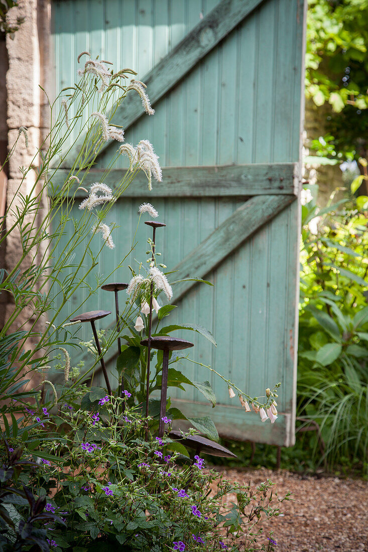 Türkisfarbenes Holztor im Garten, davor Rankstäbe zwischen Blumen