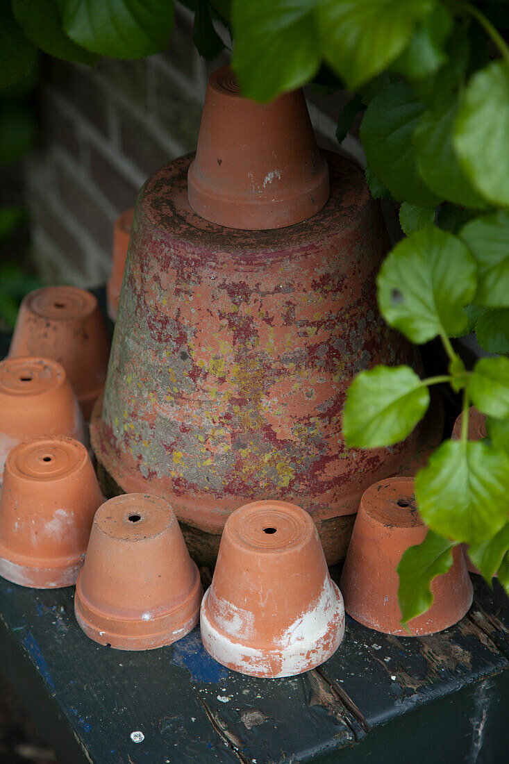 Decorative arrangement of terracotta pots in garden