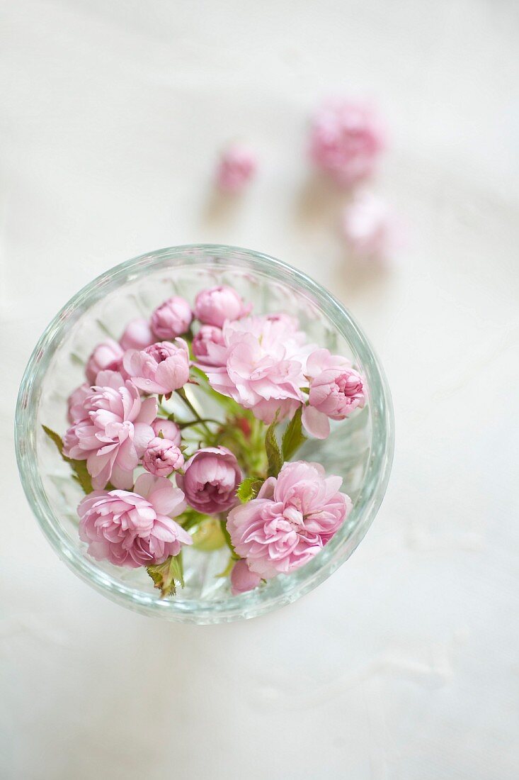 Glass bowl of Japanese cherry blossom