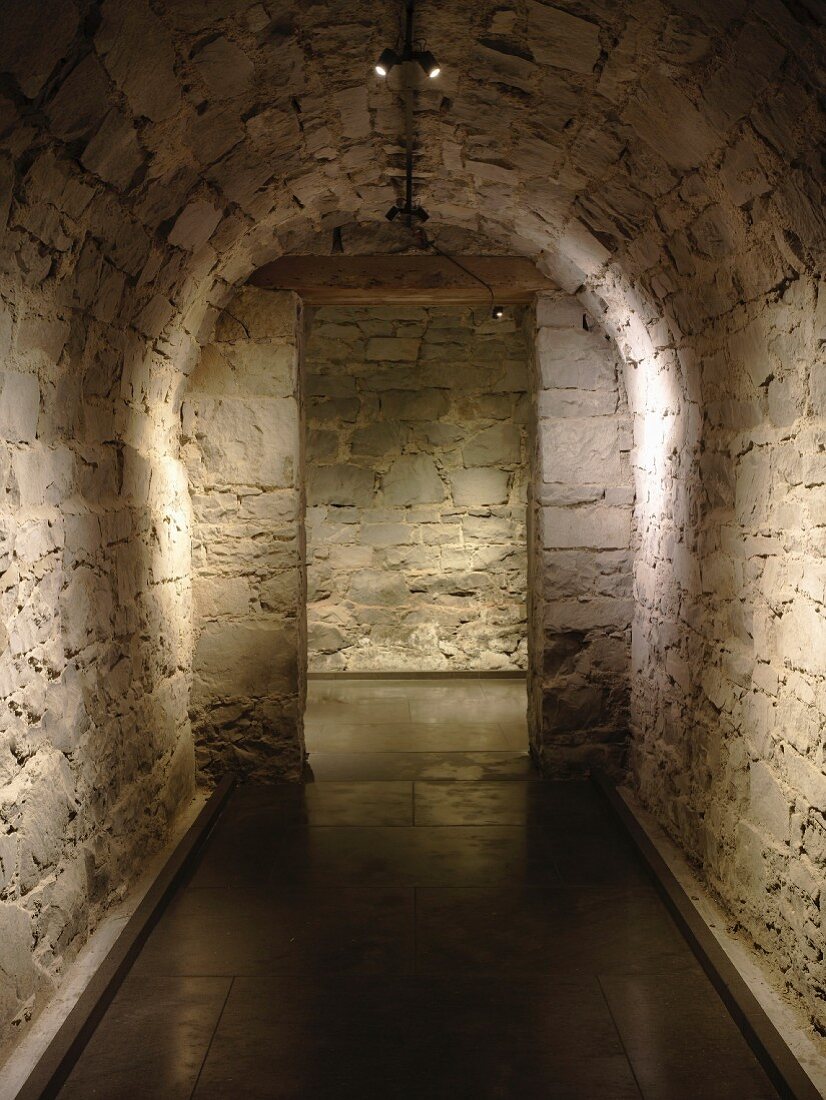Catacomb-style vaulted corridor with minimalist spotlights on lighting rail