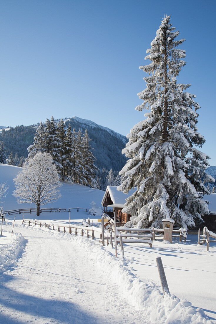 Snowy path, cabin and mountain landscape below blue sky