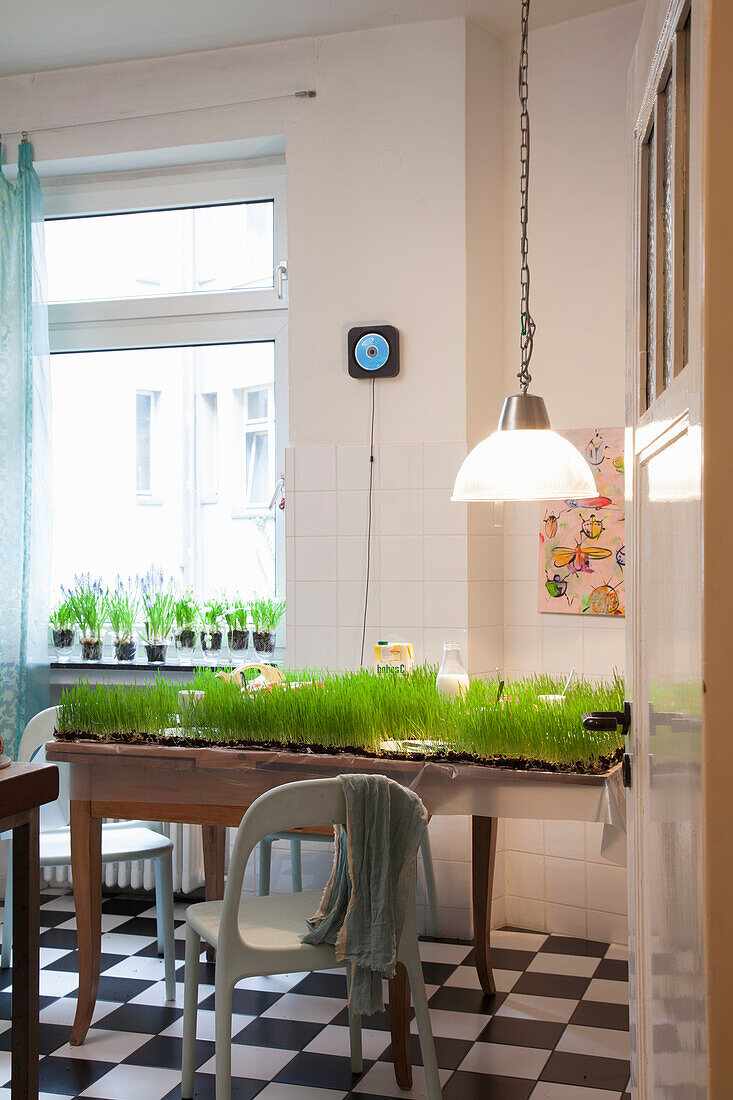 Esstisch mit gepflanztem Gras unter leuchtender Pendellampe in renovierter Altbauwohnung