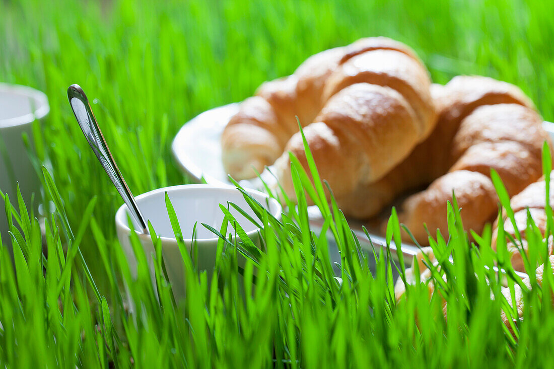 A cup and croissants on grass