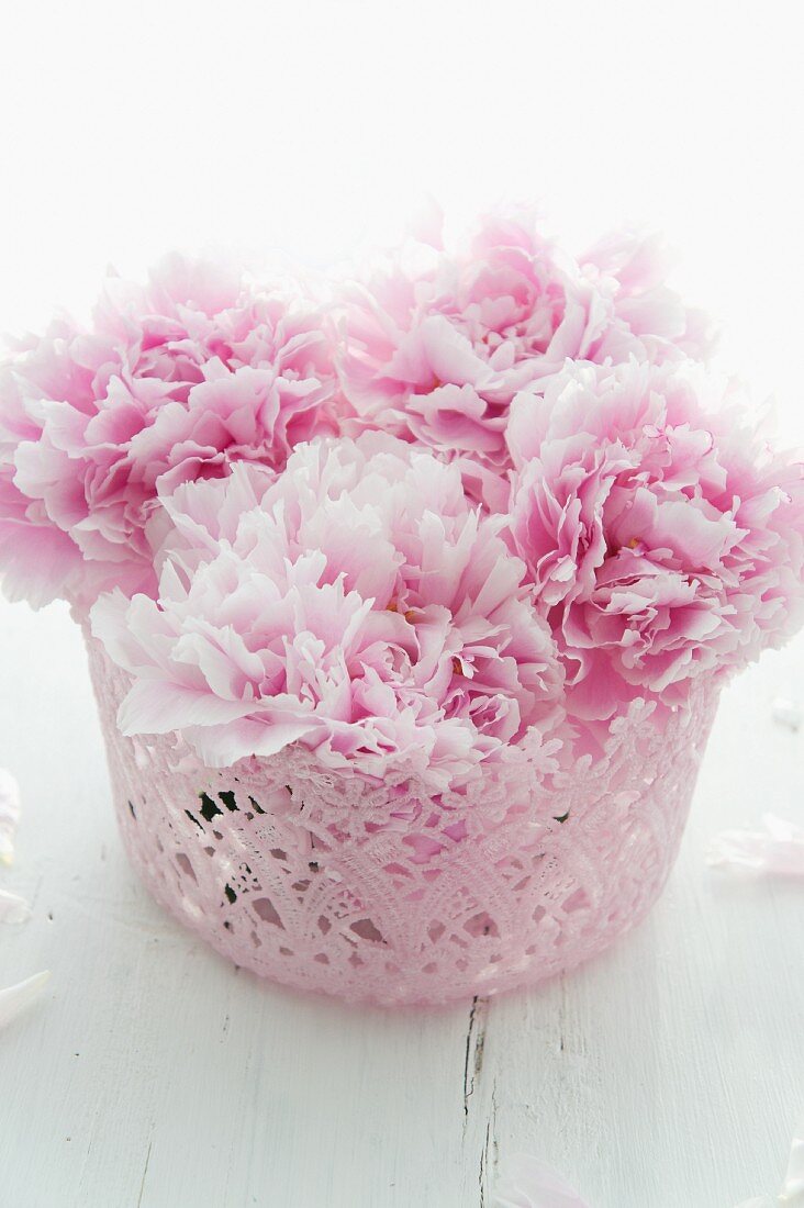 Peonies in a pink bowl
