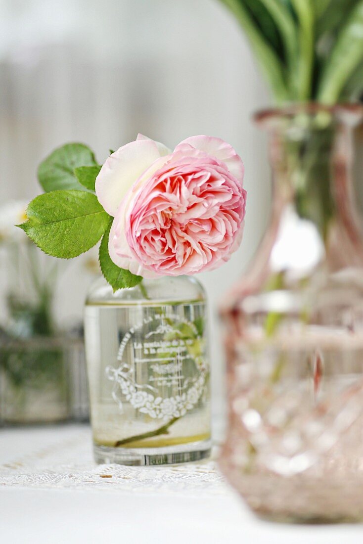 Double rose (English rose) in vintage-style vase