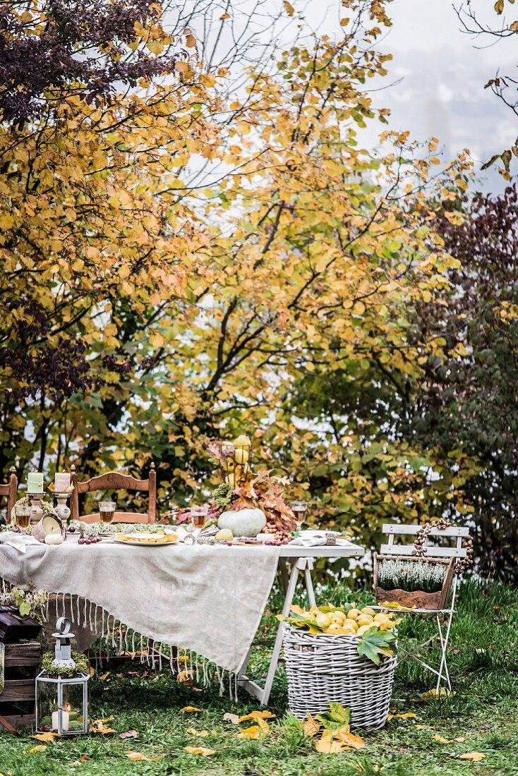 Festively set table in autumnal garden