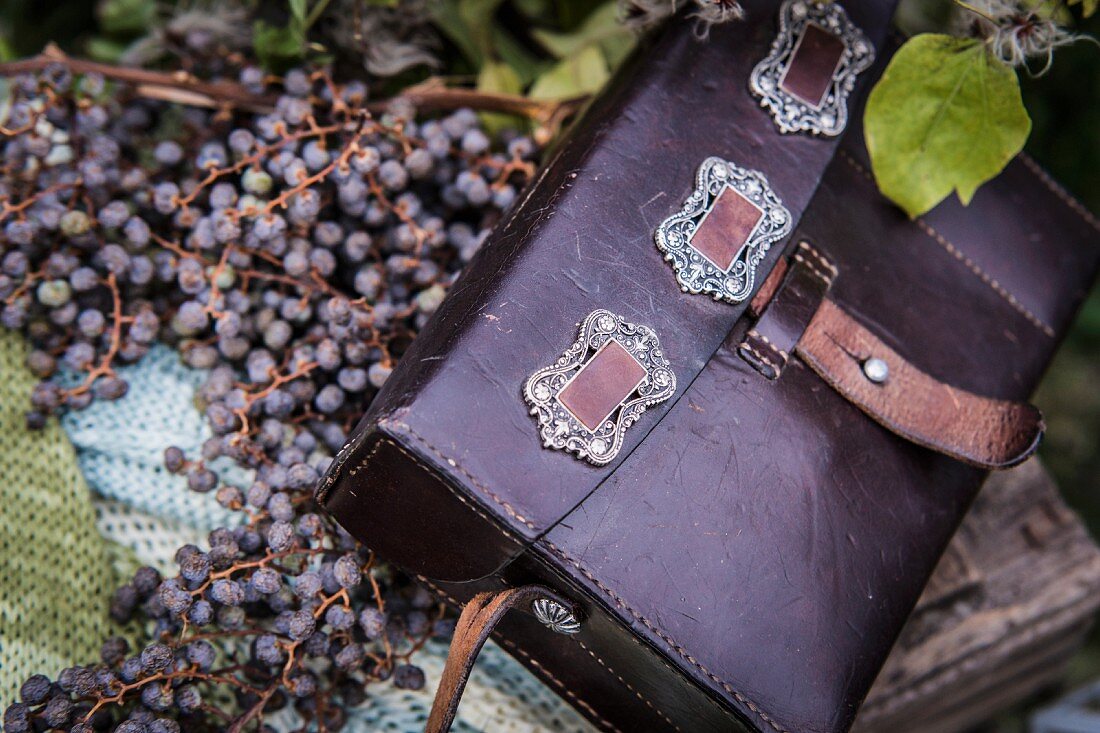 Purple leather bag on berries