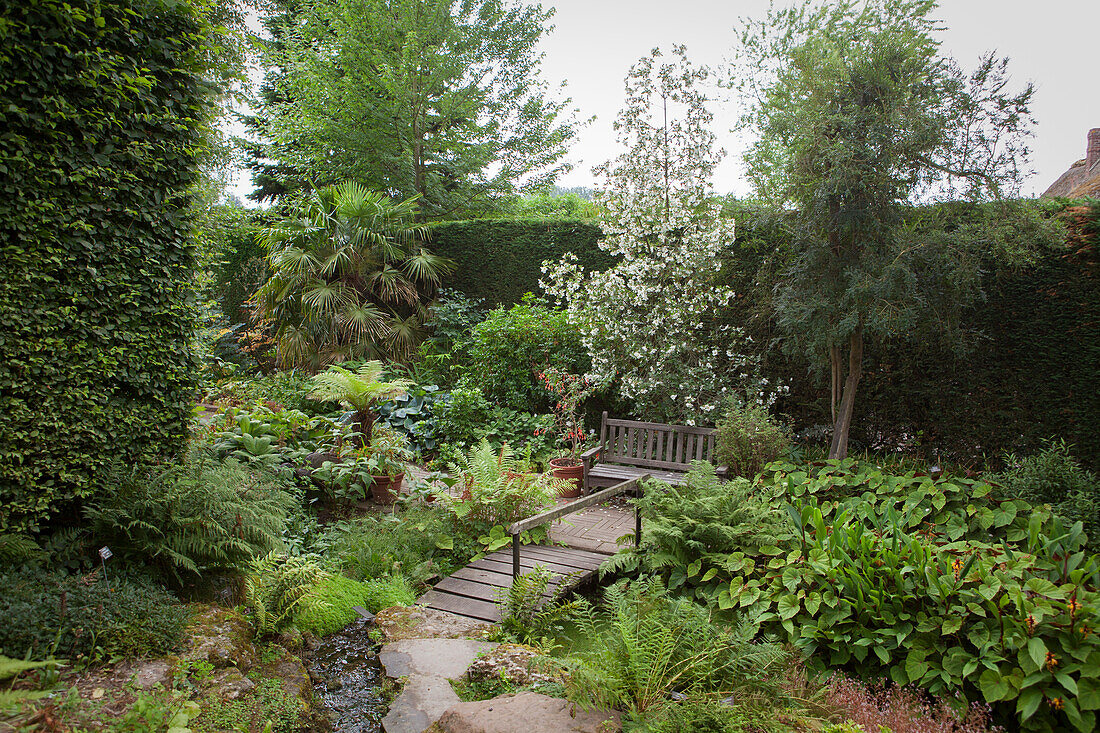 Kleine Holzbrücke in idyllischem Garten mit Bäumen und Palme vor geschnittener Hecke