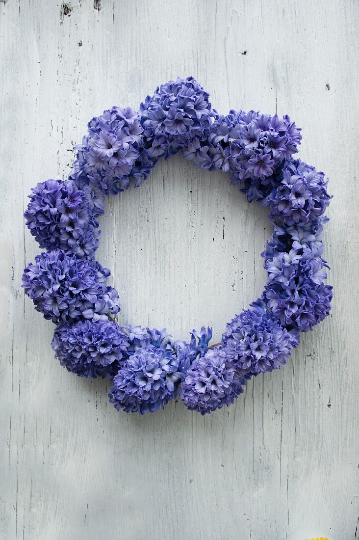 Wreath of blue hyacinths