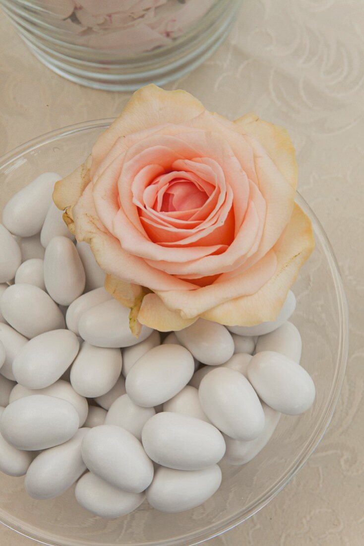 Apricot rose blossom and wedding almonds in glass bowl