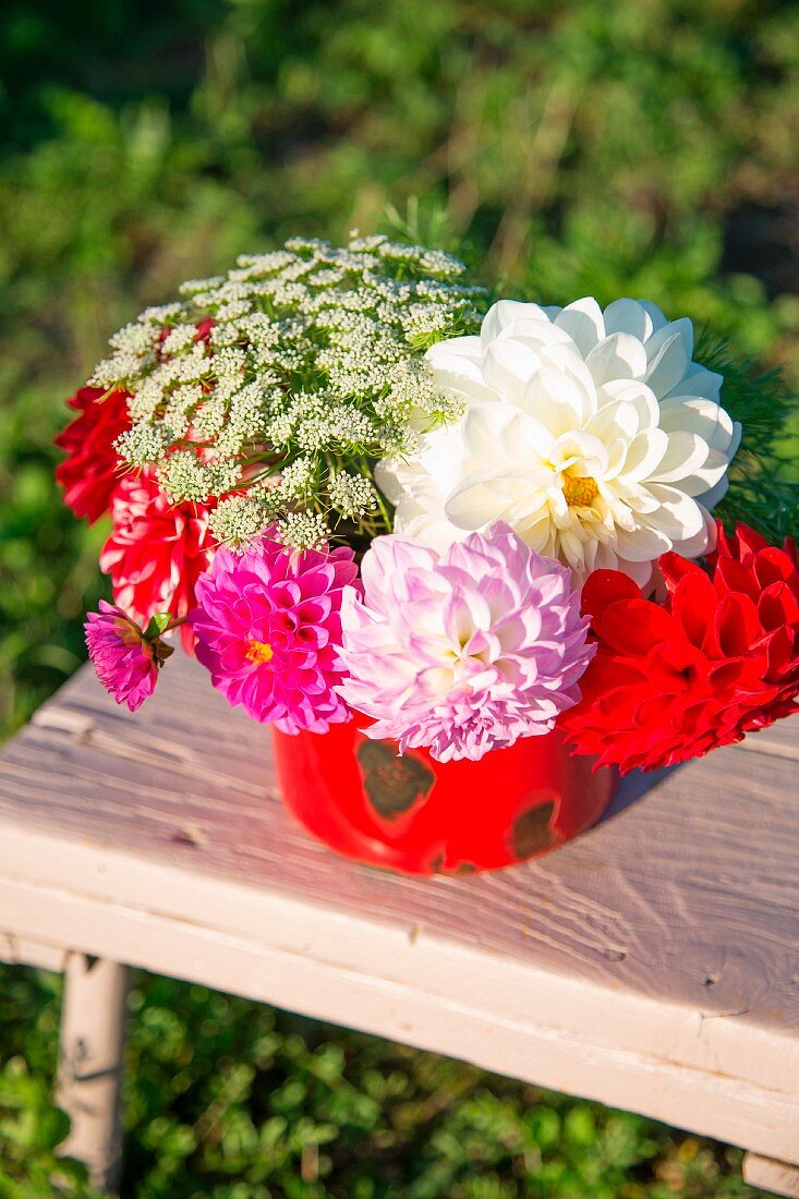 Dahlias of various colours in red vintage pot outdoors