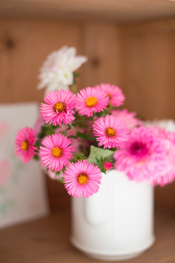 Daisies in white jug
