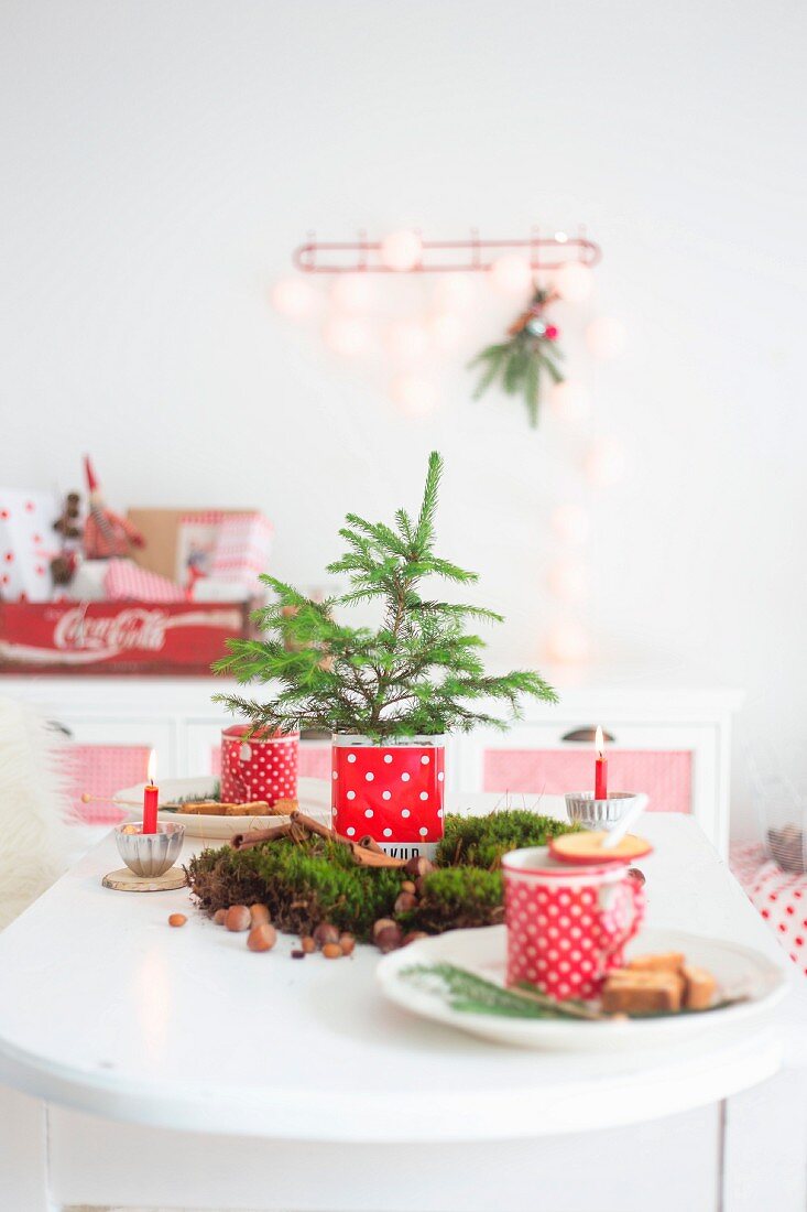 Kleiner Tannenbaum in Metalldose und Moos auf weihnachtlichem Tisch