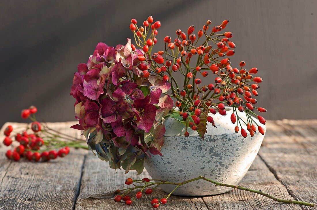 Hagebutten und Hortensien in Vase auf Holztisch