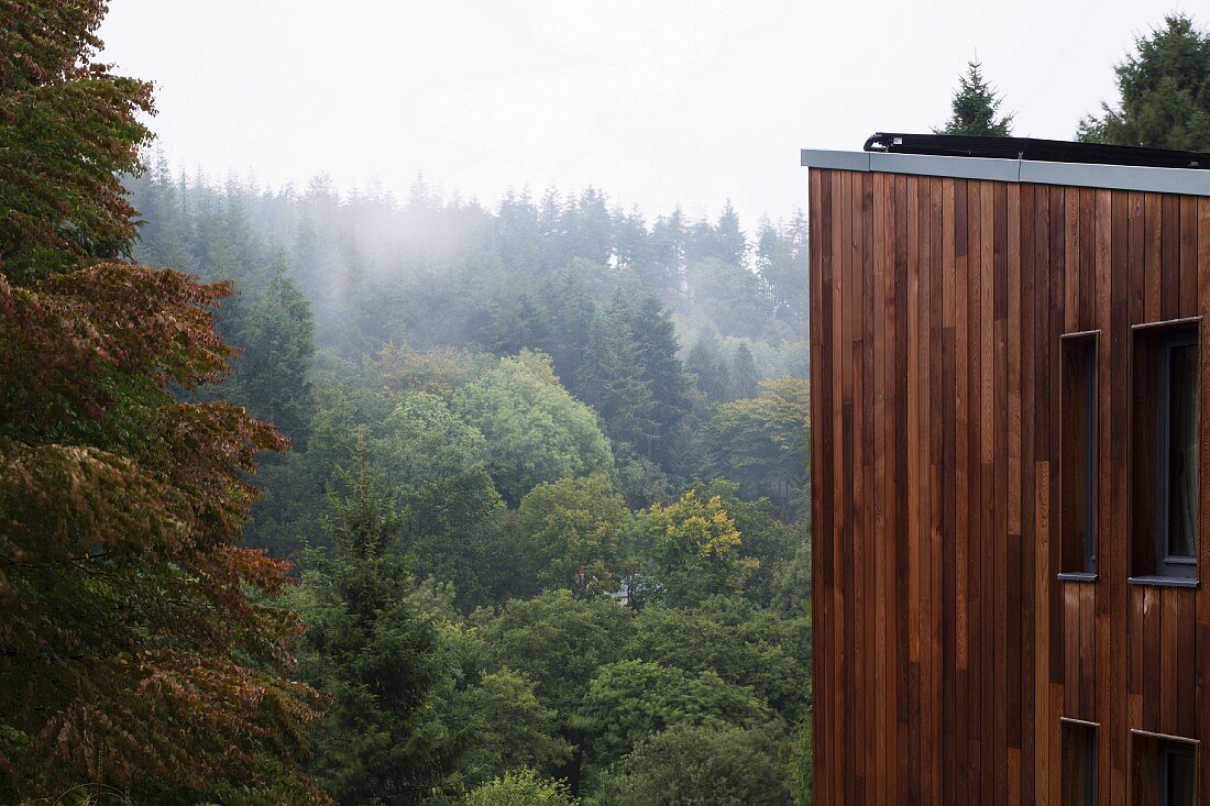 Modernes Wohnhaus aus Holz in bewaldeter Landschaft