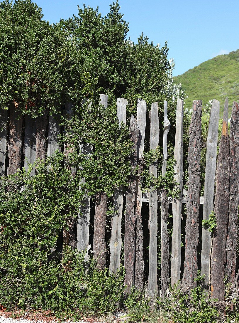 Verwitterter, naturbelassener Holzzaun, im Hintergrund sommerlicher Hügellandschaft