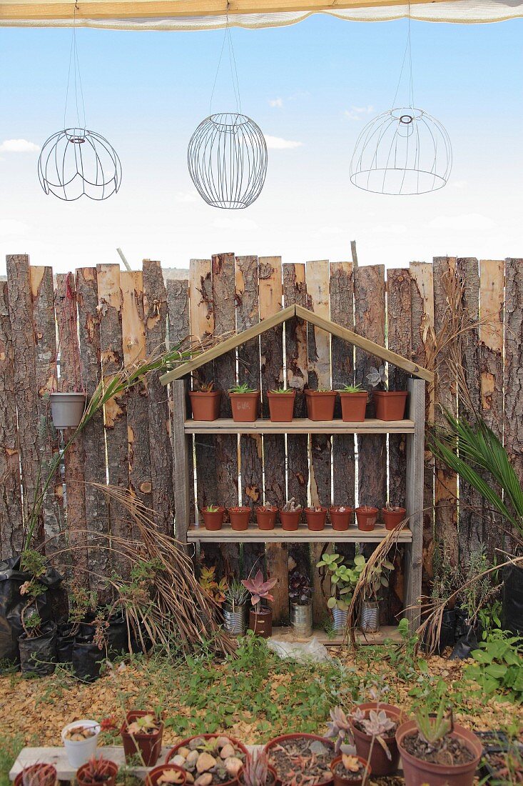 House-shaped shelves of potted plants against rustic garden fence