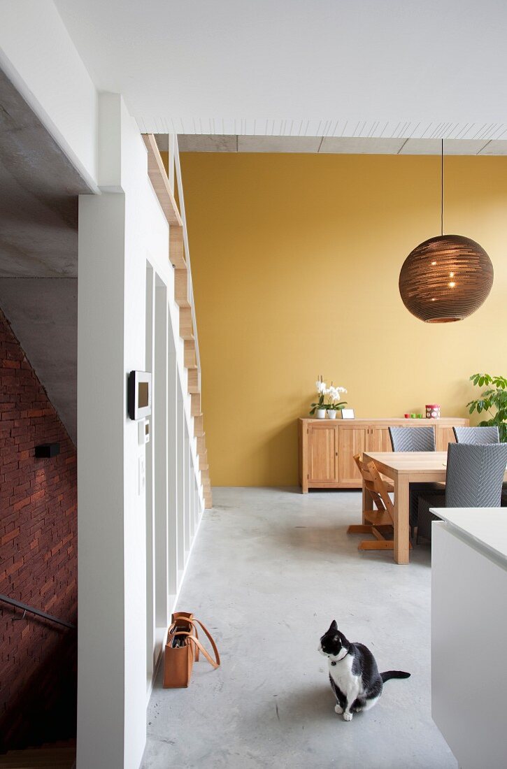 Open-plan interior with dining table, ochre-yellow wall and cat sitting on concrete floor