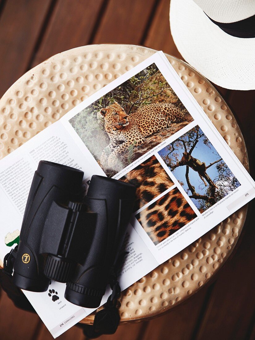 Schwarzes Fernglas und aufgeschlagener Safari-Bildband auf Hocker