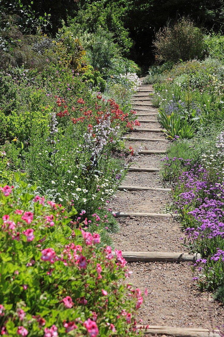 Narrow gravel path with wooden sleepers between bed of flowering plants