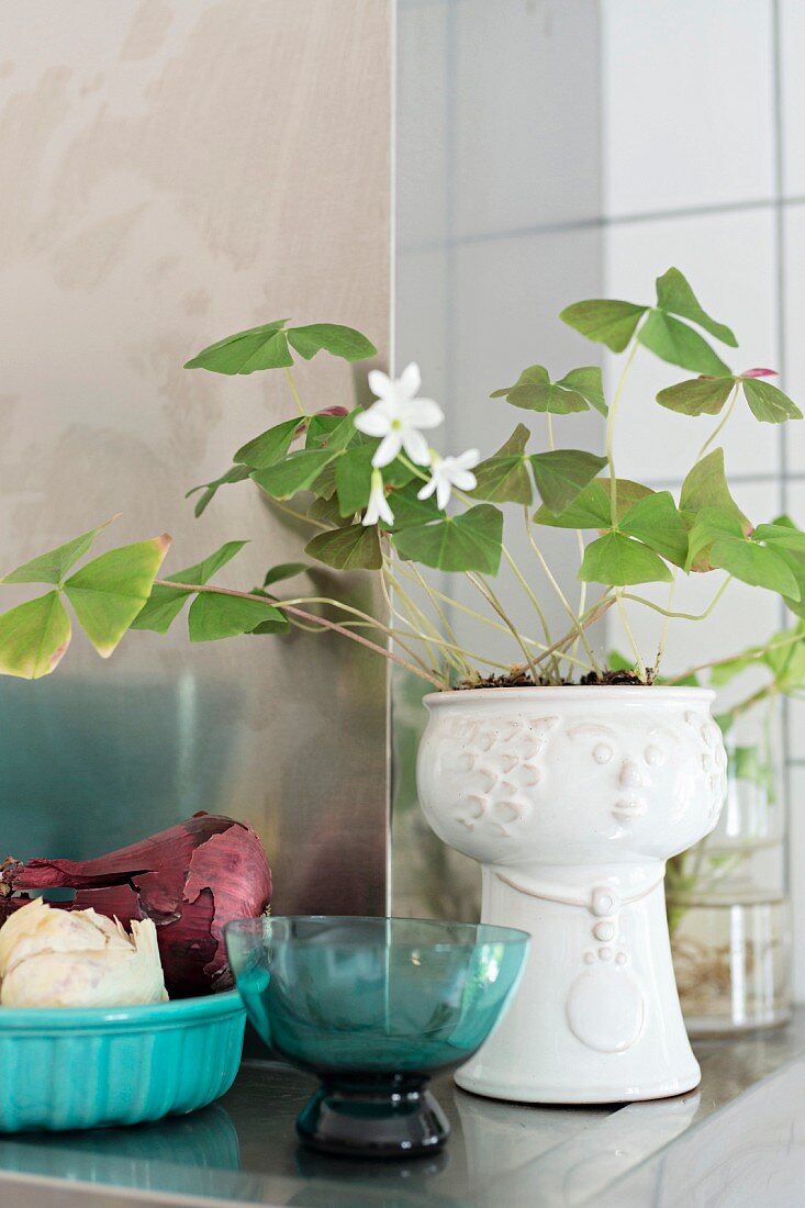 Türkisblaue Glasschale neben weißem Porzellantopf mit grünem Glücksklee und weißen Blüten