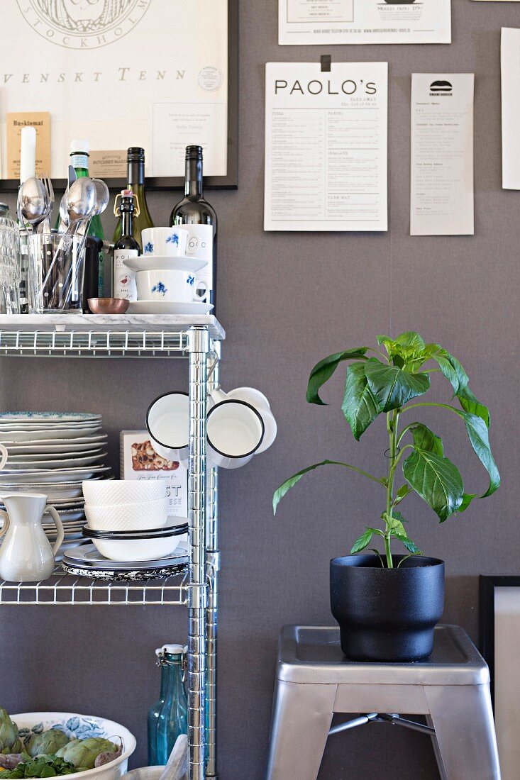 Grünpflanze auf Metallhocker neben Gitterregal mit Geschirr und Küchenutensilien vor grauer Wand