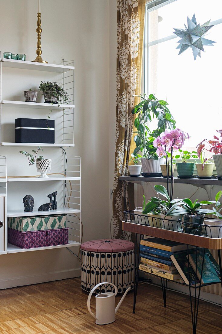 String shelves and plant stand in retro living room