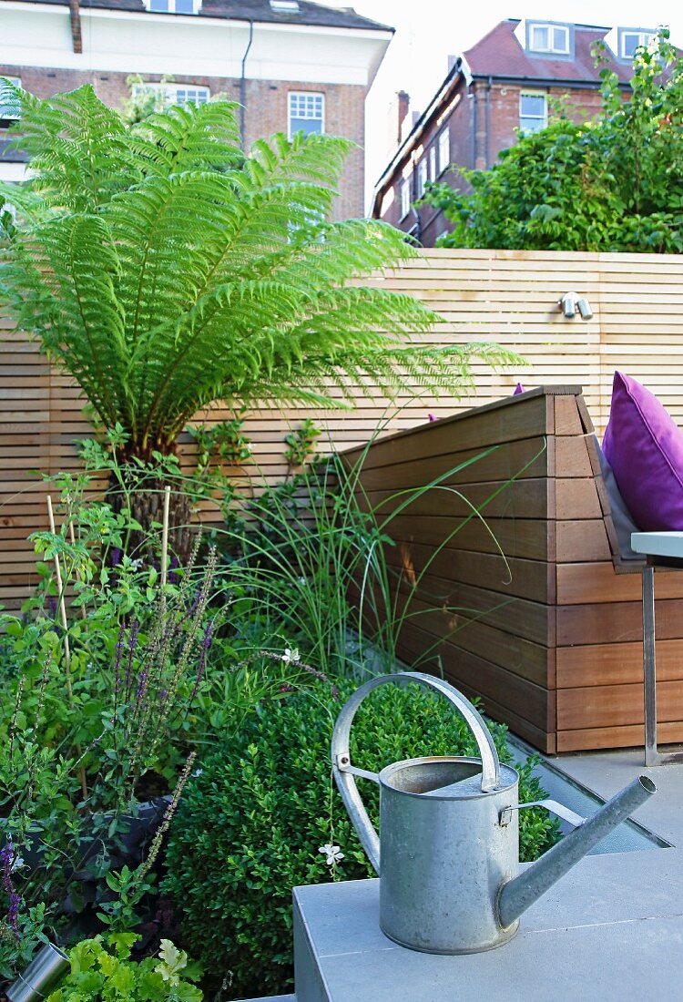 Zinc watering can on terrace in front of wooden screen and bed of green plants