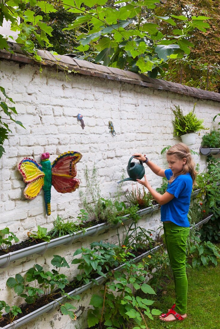 Mädchen gießt bepflanzte Regenrinnen an Gartenmauer